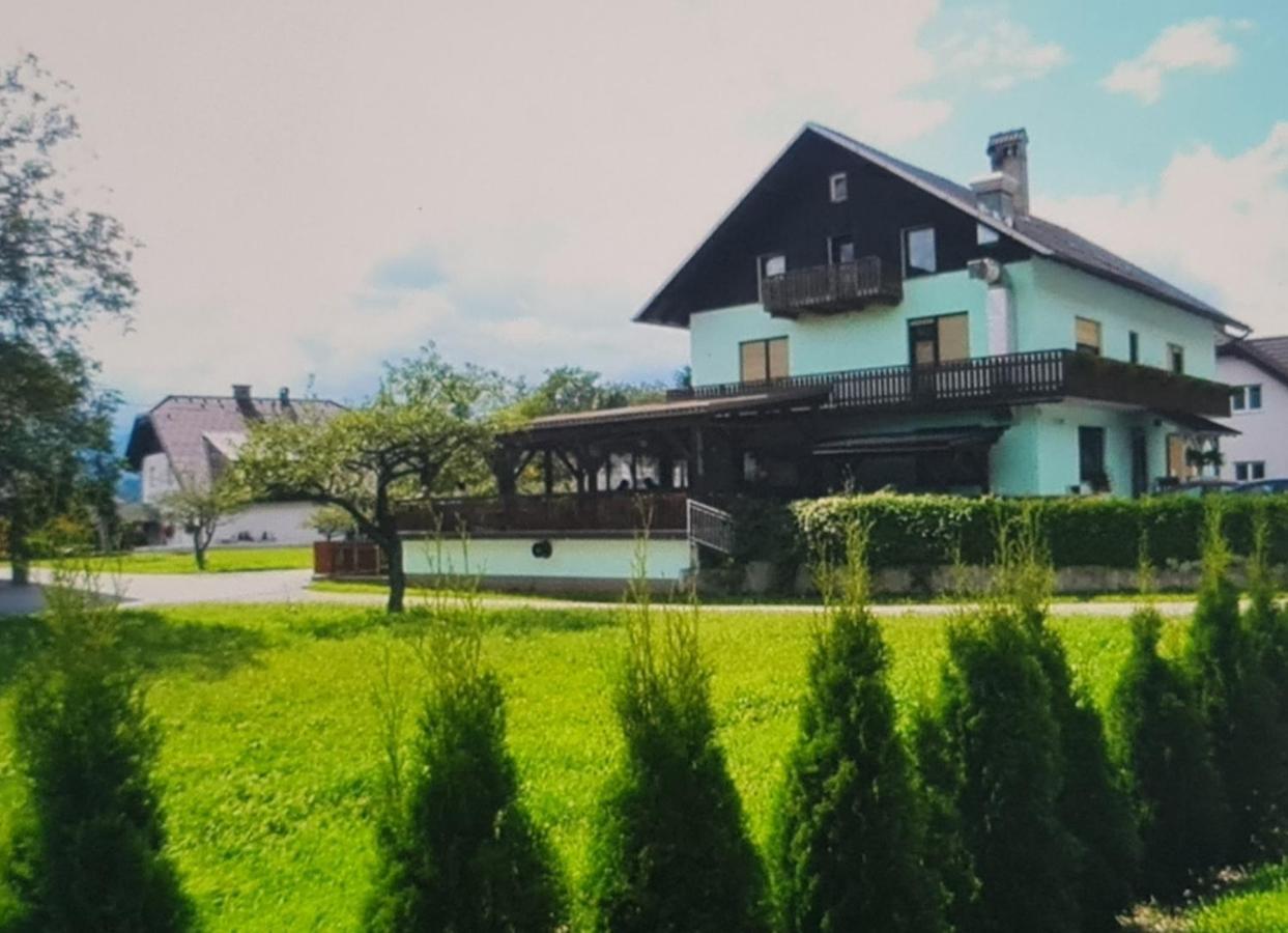 Zirovnica Pension Knafel מראה חיצוני תמונה